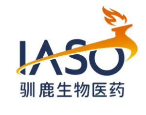 翻译服务客户 04